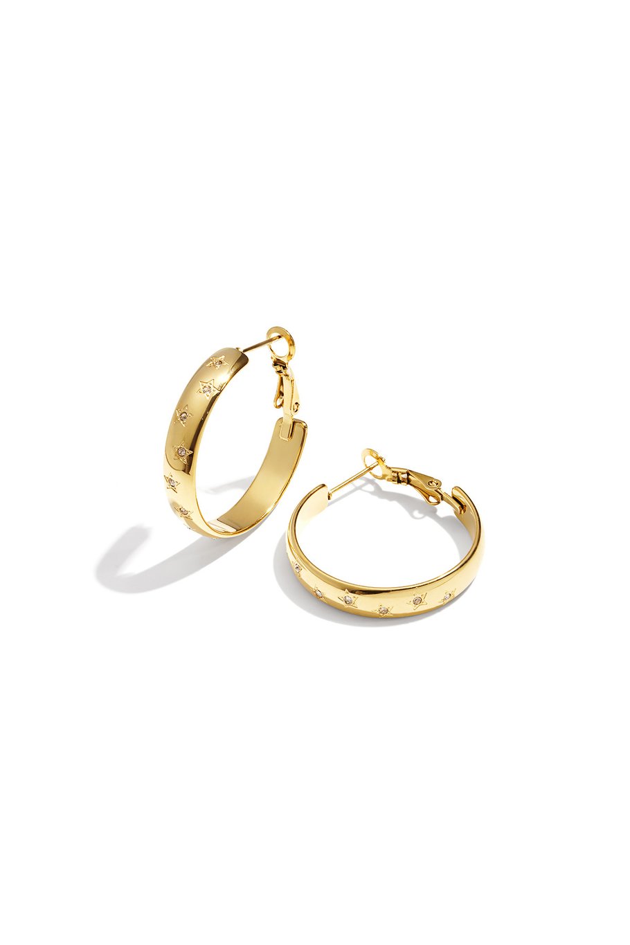 "Shiny" earrings