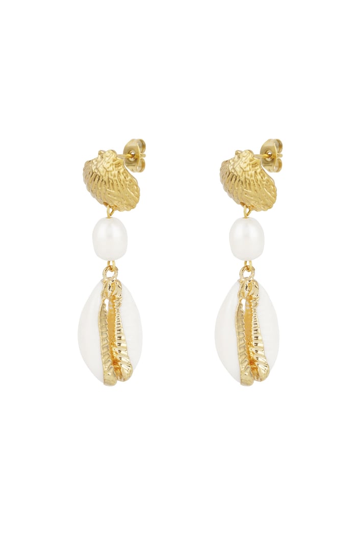 "Gold shell" earrings