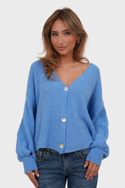 "Fall" vest blue